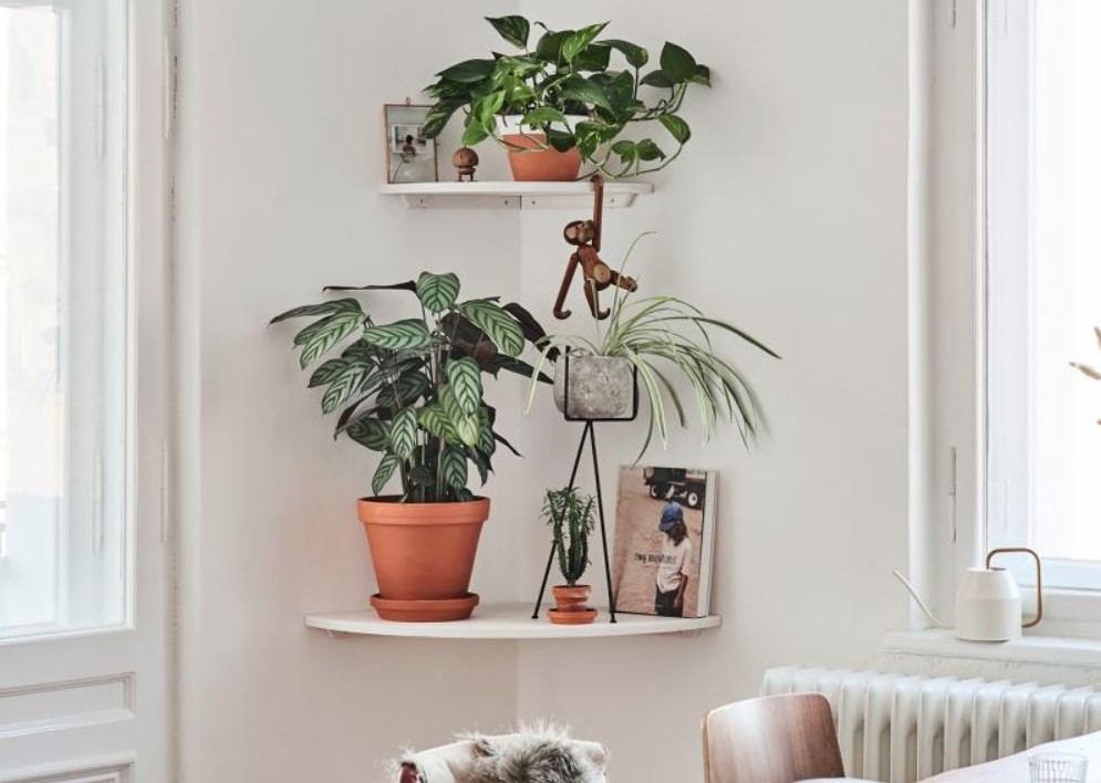 DIY Quarter Circle Corner Shelves