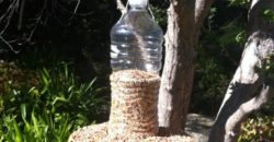 25 DIY Bird Feeder Ideas to Create a Bird-Friendly Backyard