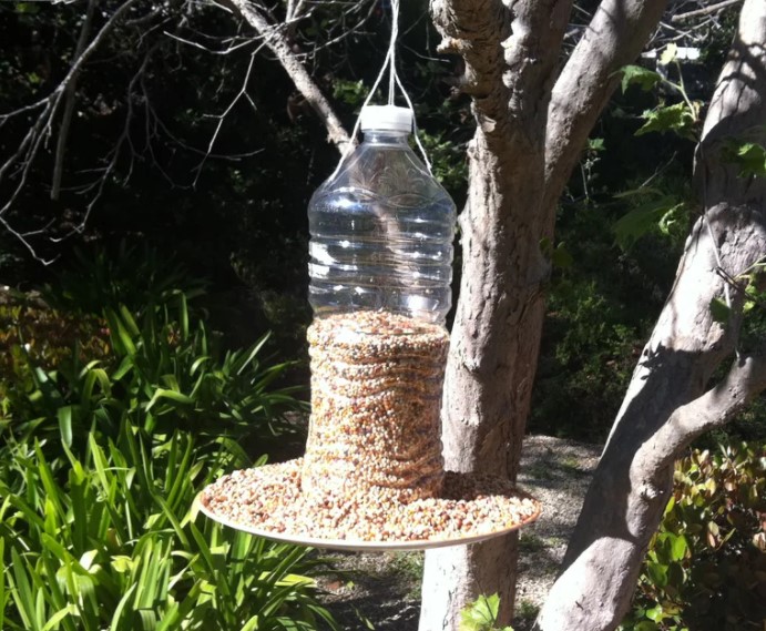 diy bird feeder from plastic bottle