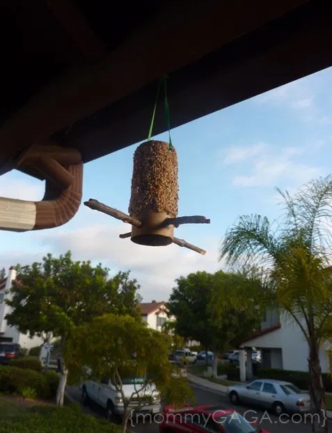 A Toilet Paper Roll Bird Feeder