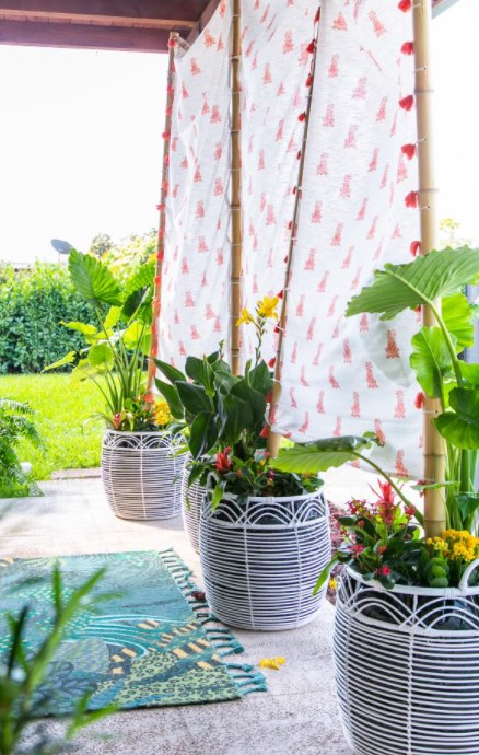 Budget Friendly DIY Outdoor Privacy Screen