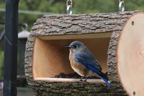 DIY Bird Feeder Plans Homemade Log Birdfeeder 2