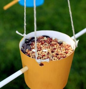 25 DIY Bird Feeder Ideas to Create a Bird-Friendly Backyard