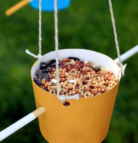 25 DIY Bird Feeder Ideas to Create a Bird-Friendly Backyard – DIY Bird Feeder DIY Bird Feeder