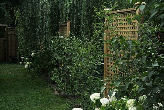 50 DIY Outdoor Privacy Screen Ideas with Free Plans – DIY Lattice Privacy Screen DIY Lattice Privacy Screen