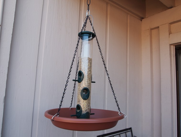 DIY Seed Catcher for Bird Feeder