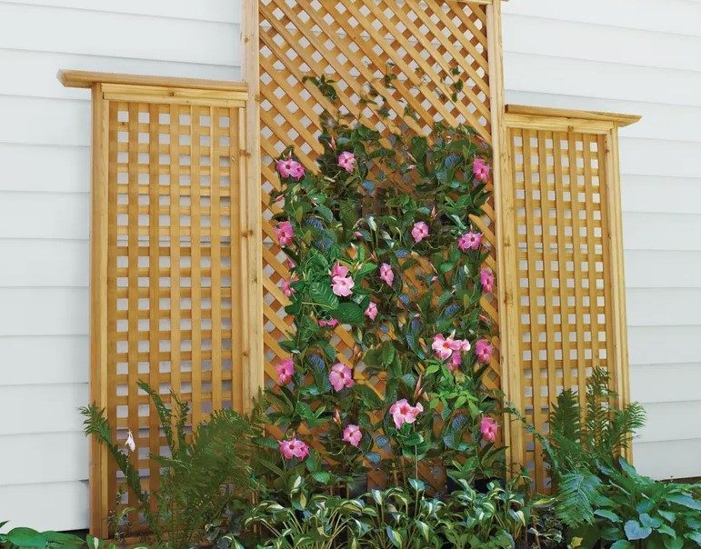 50 DIY Outdoor Privacy Screen Ideas with Free Plans – DIY Trellis for Privacy Screen DIY Trellis for Privacy Screen