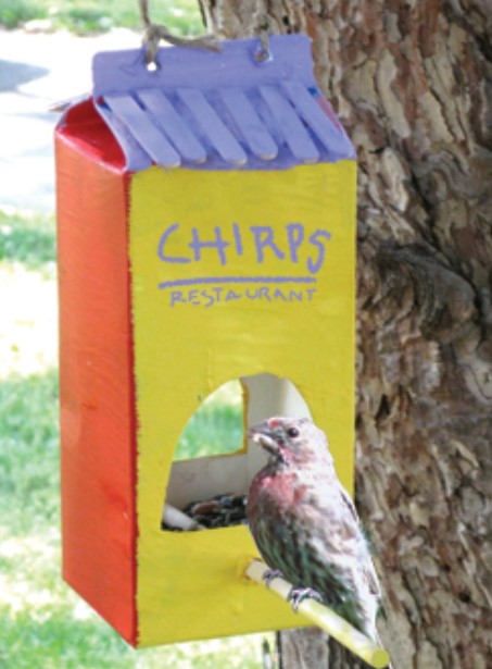 Feed the Birds Making a Bird Feeder