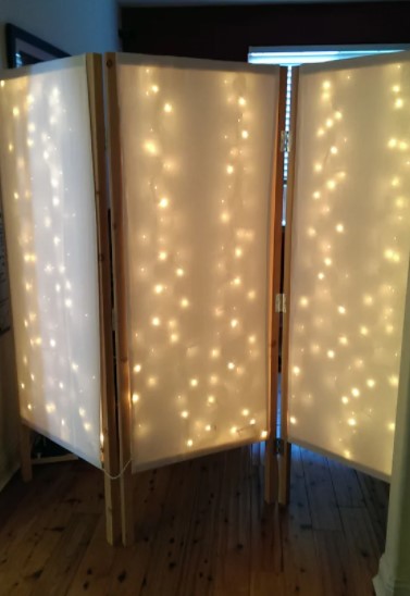 Lighted Privacy Screen 2