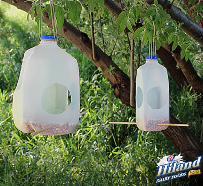 25 DIY Bird Feeder Ideas to Create a Bird-Friendly Backyard – Milk Jug Bird Feeder Milk Jug Bird Feeder