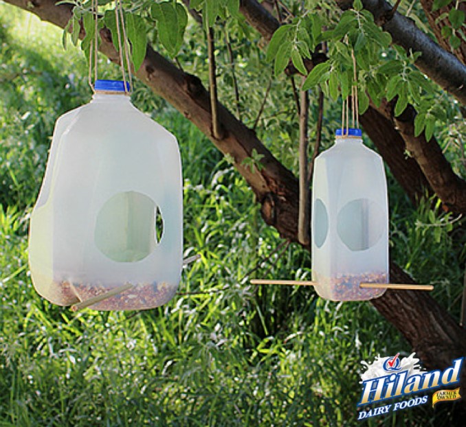 Milk Jug Bird Feeder