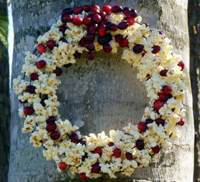 Popcorn Cranberry DIY Bird Feeder Wreath