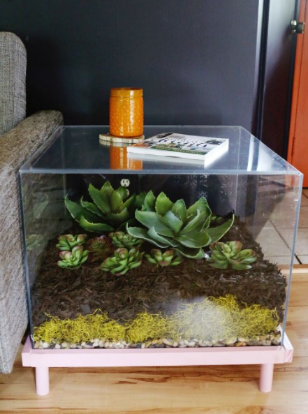 25 DIY Display Case Ideas to Show Your Favorite Stuff – TERRARIUM SIDE TABLE DIY TERRARIUM SIDE TABLE DIY