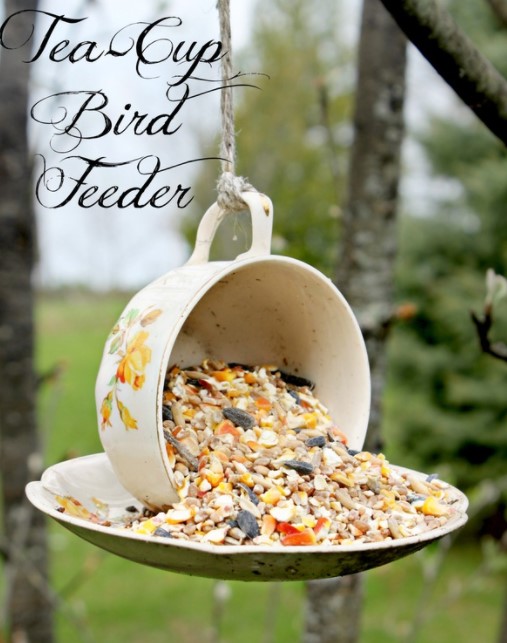Tea Cup Bird Feeder