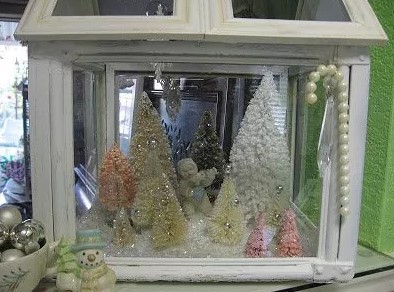 Winter Display Case