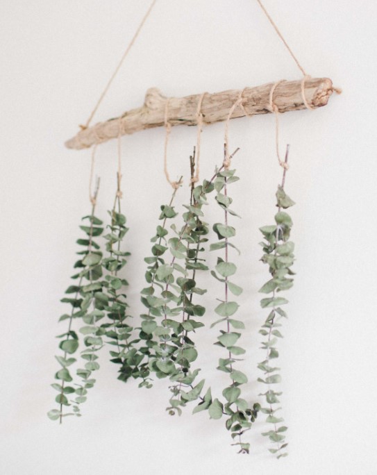 diy wall decor from dried eucalyptus