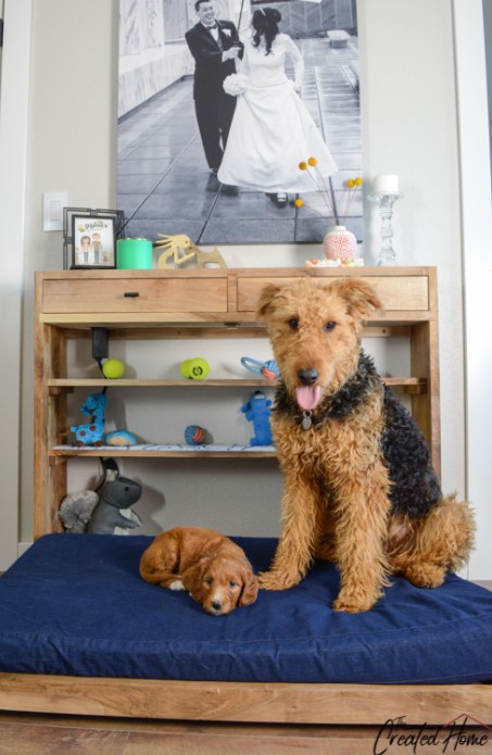 25 DIY Murphy Bed Design Ideas (with Free Plans) – Box Joint Dog Murphy Bed 1 Box Joint Dog Murphy Bed 1