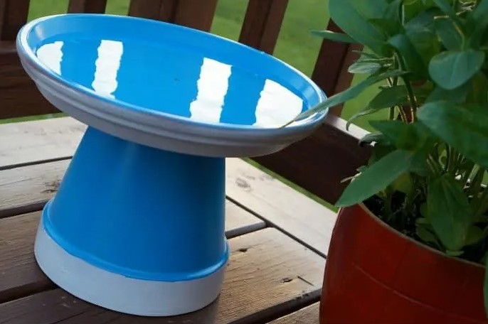 DIY Bitty Bird Bath