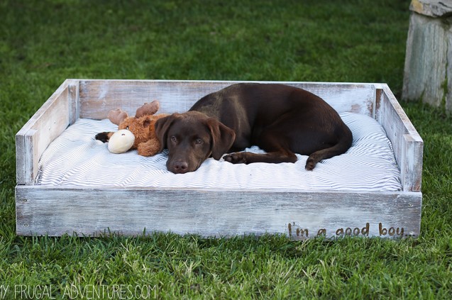 DIY DOG BED TUTORIAL