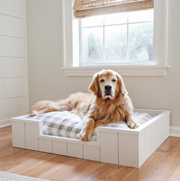 DIY Dog Bed with Shiplap