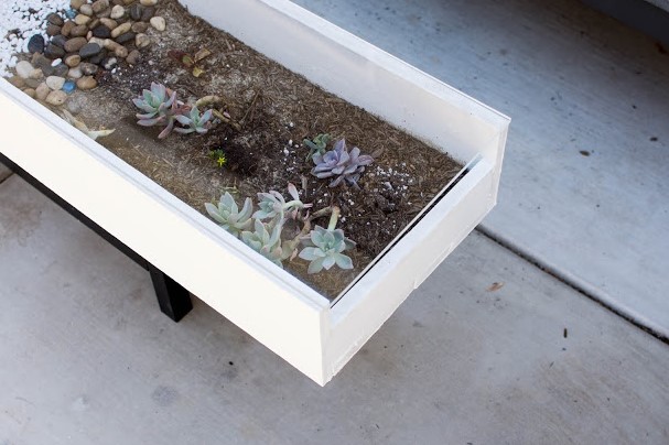 DIY Modern Succulent outdoor coffee table