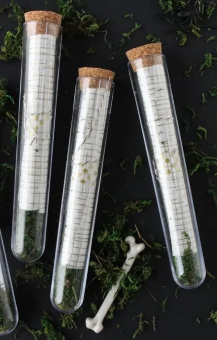 35 Best DIY Halloween Decoration Ideas for 2025 – DIY Scroll Test Tube Invitations DIY Scroll Test Tube Invitations