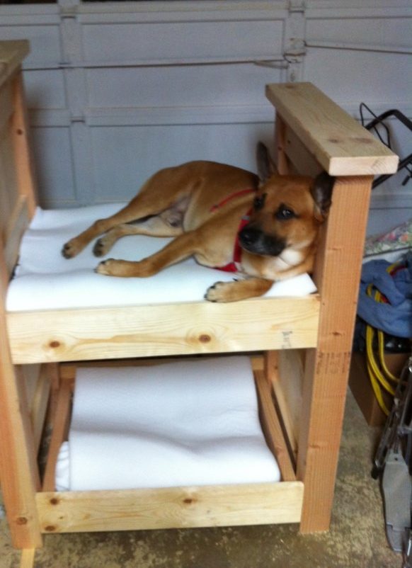 25 Comfortable DIY Dog Bed Ideas for Your Fur Baby – Doggy Bunk Bed 1 rotated Doggy Bunk Bed 1 rotated