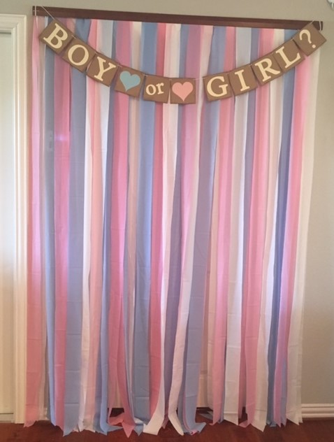 Gender Reveal Photo Backdrop