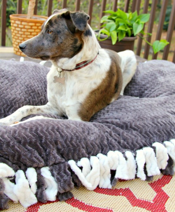 25 Comfortable DIY Dog Bed Ideas for Your Fur Baby – No Sew Dog Bed No Sew Dog Bed