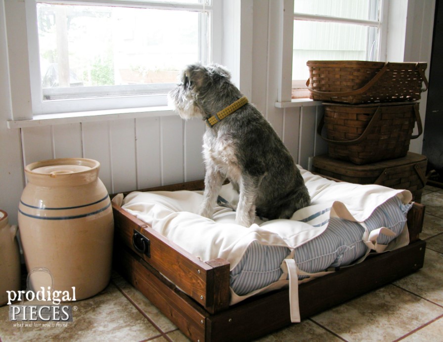 Pet Bed DIY