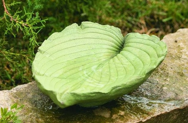 a DIY Concrete Leaf Birdbath