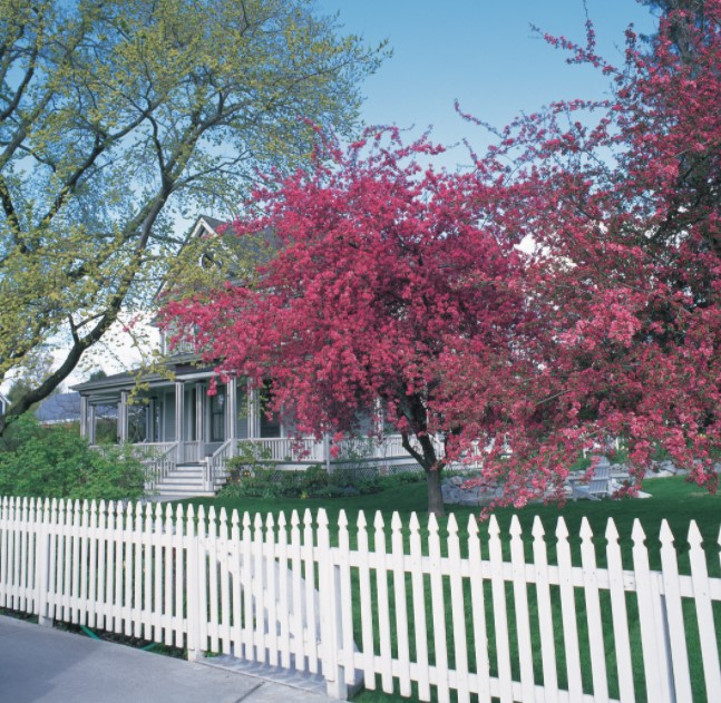 25 Budget-friendly DIY Fence Ideas for Every Homeowner – a Picket Fence a Picket Fence