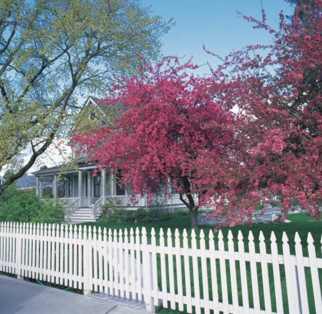 a Picket Fence