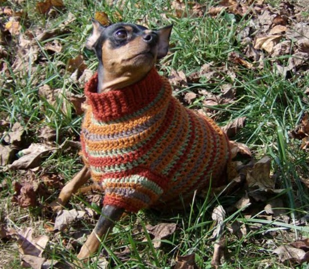 Autumn Stripes Crochet Min Pin Sweater