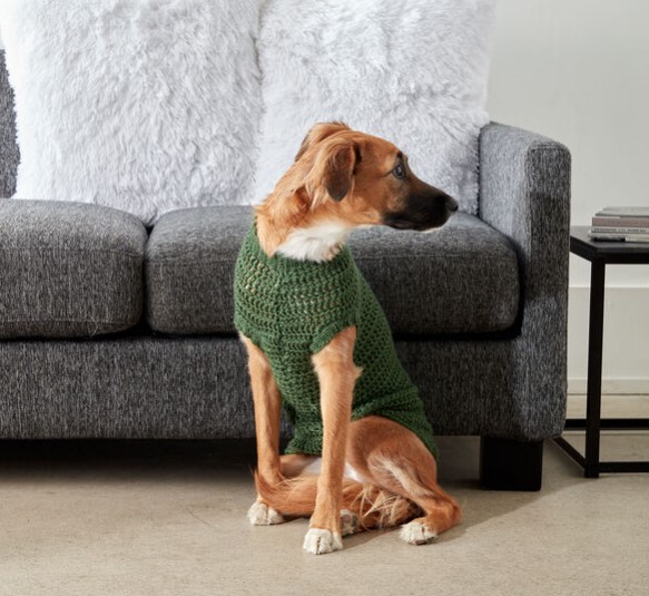 CARON CROCHET DAPPER PUP SWEATER