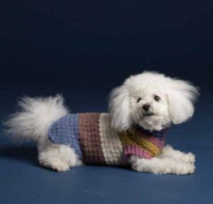 25 Free Crochet Dog Sweater Patterns Your Pup Will Love
