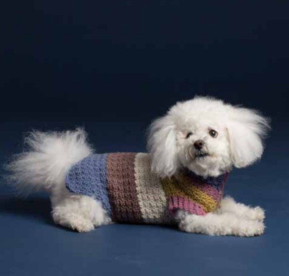 25 Free Crochet Dog Sweater Patterns Your Pup Will Love – CARON TEXTURED CROCHET DOG COAT CARON TEXTURED CROCHET DOG COAT