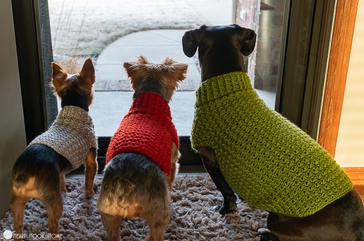 Dandy Dog Sweater Easy Crochet Dog Sweater Pattern