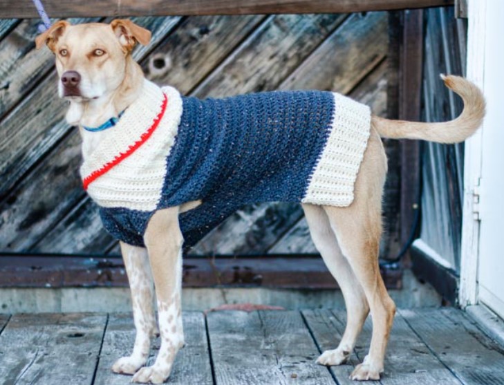 Easy Crochet Dog Sweater – Free Pattern in Nine Sizes