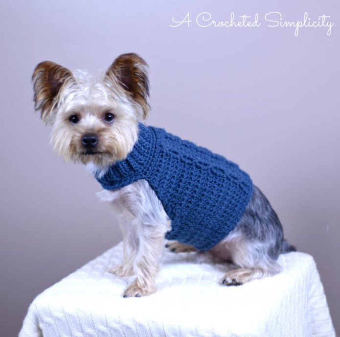 25 Free Crochet Dog Sweater Patterns Your Pup Will Love – FREE CHARITY CROCHET PATTERN CABLED DOG SWEATER FREE CHARITY CROCHET PATTERN CABLED DOG SWEATER