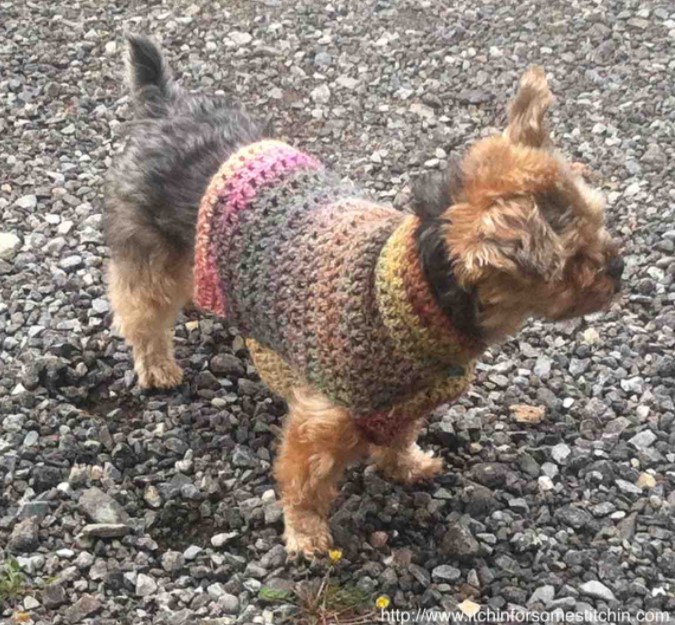 FREE QUICK AND EASY SMALL DOG CROCHET SWEATER