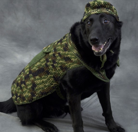 25 Free Crochet Dog Sweater Patterns Your Pup Will Love – Hunter Dog Hunter Dog
