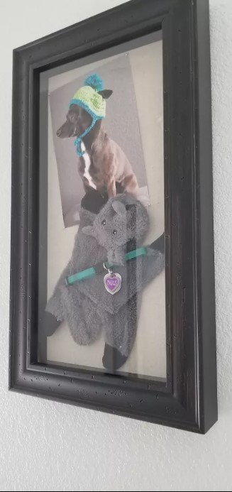 25 DIY Shadow Box Ideas That Are Cheap & Easy to Make – Pet Memorial Shadow Pet Memorial Shadow