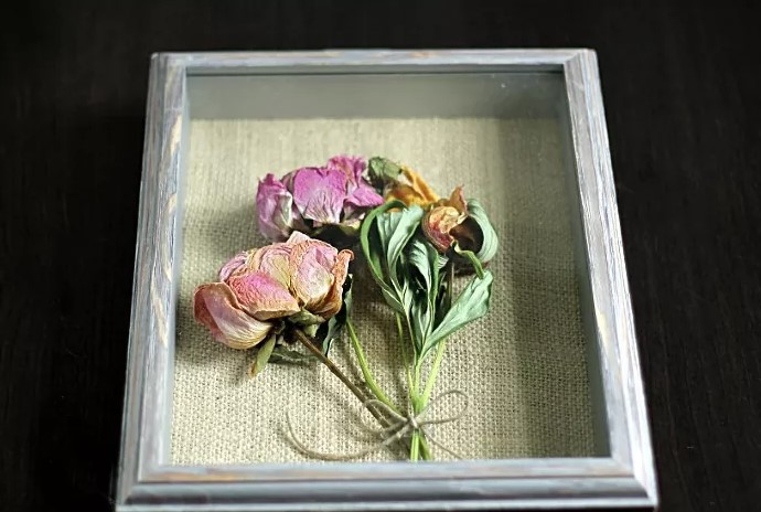 Shadow Box Peonies