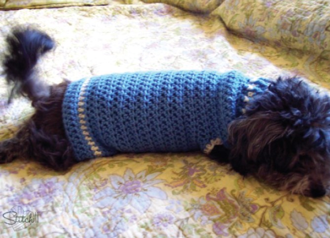25 Free Crochet Dog Sweater Patterns Your Pup Will Love – Size Small Dog Sweater Size Small Dog Sweater