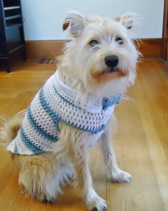 25 Free Crochet Dog Sweater Patterns Your Pup Will Love – Spring Striped Dog Sweater With Collar Spring Striped Dog Sweater With Collar