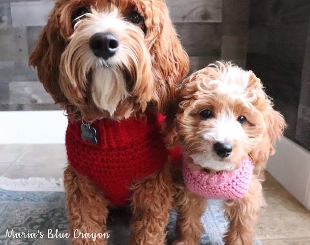 THE FREE CROCHET DOG SWEATER TUTORIAL