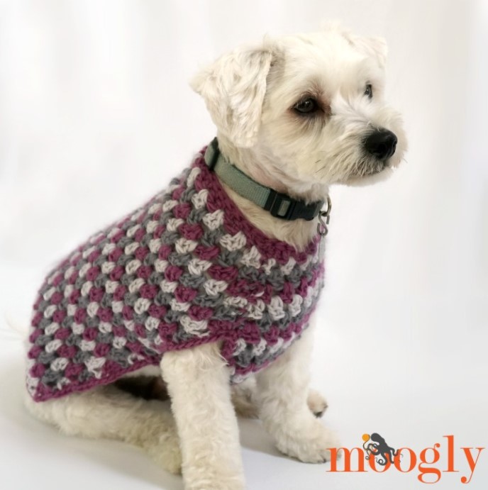 25 Free Crochet Dog Sweater Patterns Your Pup Will Love – WELL DRESSED DOG COAT WELL DRESSED DOG COAT