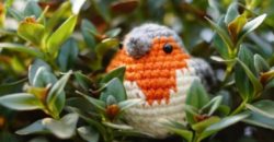 Free Amigurumi Bird Patterns
