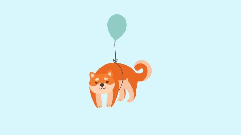 Dog Fly to The Sky